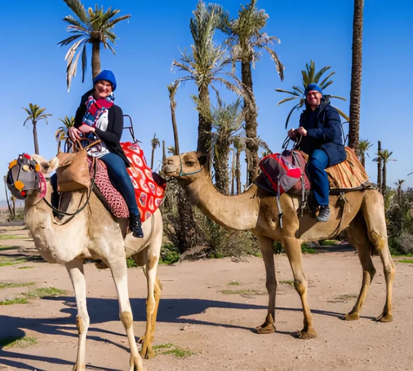 Camel Ride in the Palmeraie of Marrakech – 2-Hour Sunset & Mint Tea Experience
