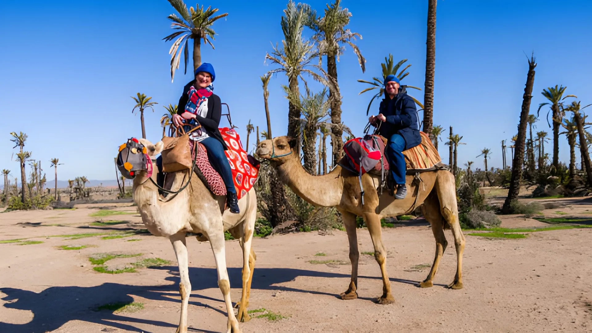 Camel Ride in the Palmeraie of Marrakech – 2-Hour Sunset & Mint Tea Experience