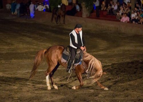 Evening at Ali's Fantasia Marrakech Show – Royal Dinner & Cultural Spectacle