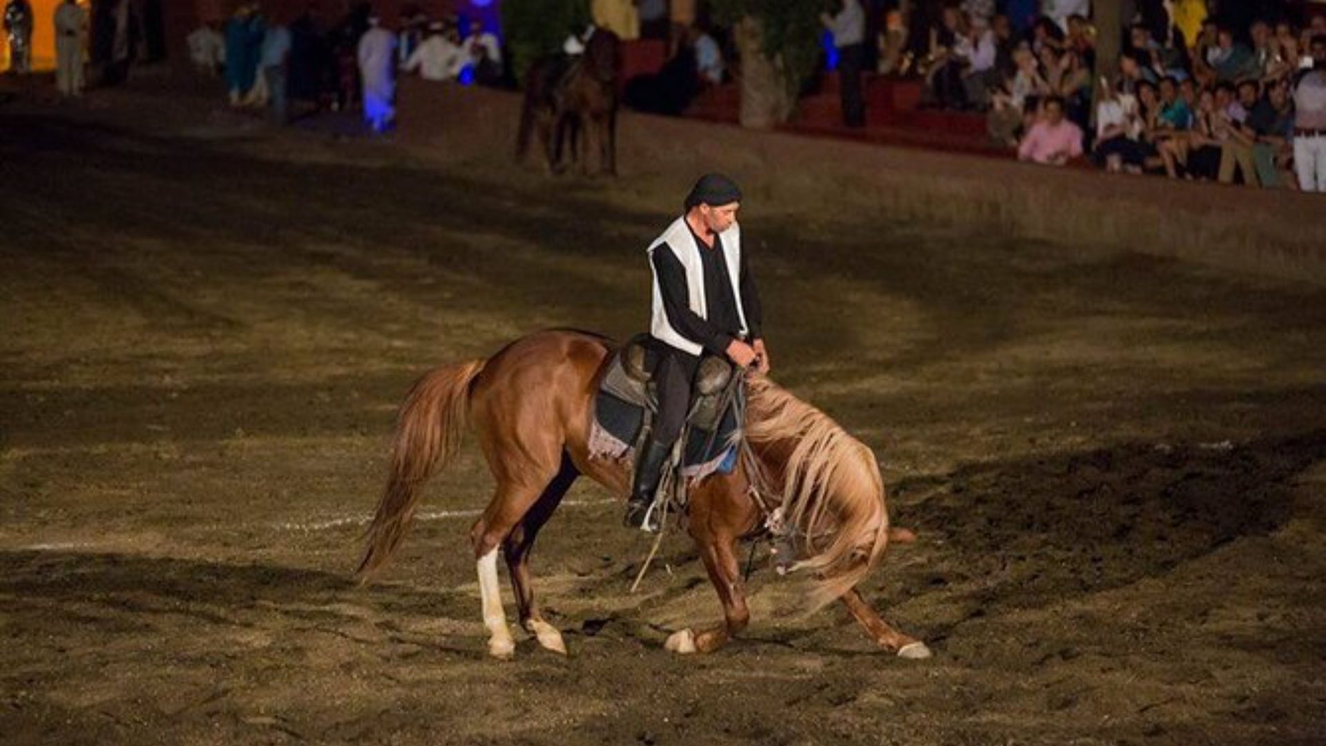 Evening at Ali's Fantasia Marrakech Show – Royal Dinner & Cultural Spectacle