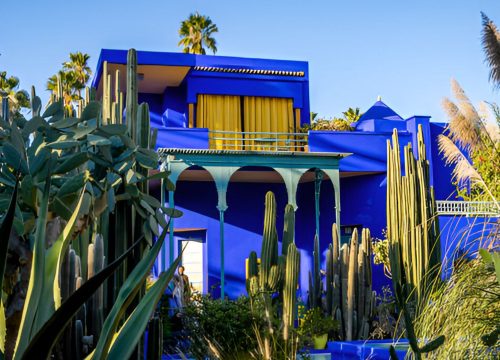 Majorelle Gardens, Museum and Ramparts Tour