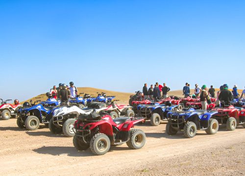 Quad Ride in the Palmeraie of Marrakech – 2-Hour Off-Road Adventure with Mint Tea
