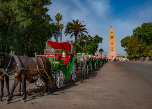 Horse-Drawn Carriage Ride in Marrakech – Romantic City Tour at Golden Hour