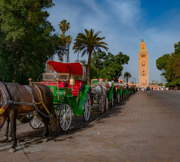 Horse-Drawn Carriage Ride in Marrakech – Romantic City Tour at Golden Hour