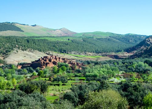 Day Trip to the Ourika Valley – Waterfalls, Berber Villages & Mountain Views