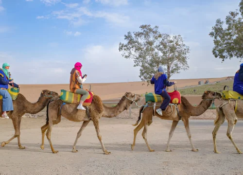 Agafay Desert Camel Riding Adventure: 2-Hour Exploration – Sunset Ride & Cultural Experience