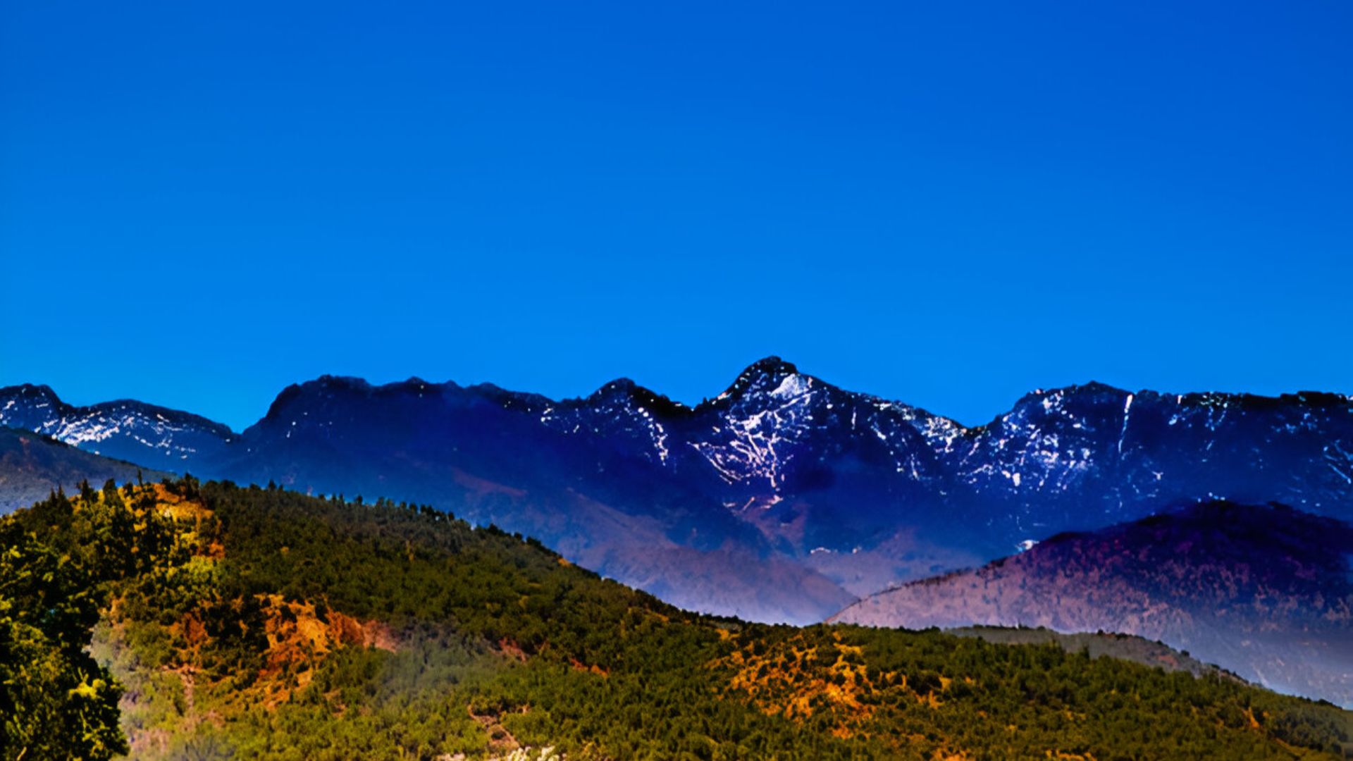Excursion to the Three Valleys of the Atlas – Ourika, Asni & Toubkal Valley