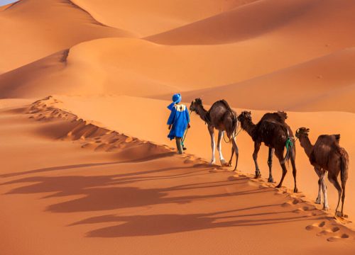 Marrakech to Erg Chebbi 4 Day Desert Tours – Camel Trek & Luxury Sahara Camp