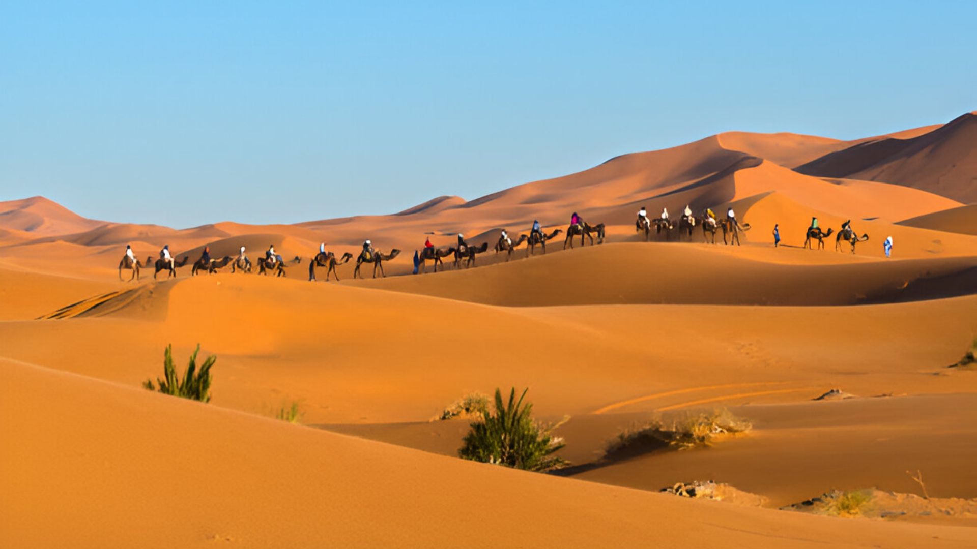 Marrakech to Erg Chebbi 3 Day Desert Tours – Camel Trek & Luxury Camp