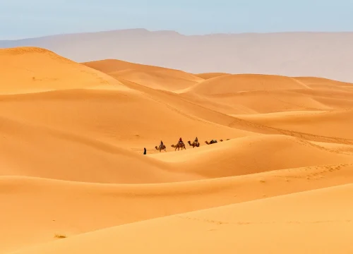 2-Day Tour to the Zagora Desert – Camel Ride & Starry Bivouac from Marrakech