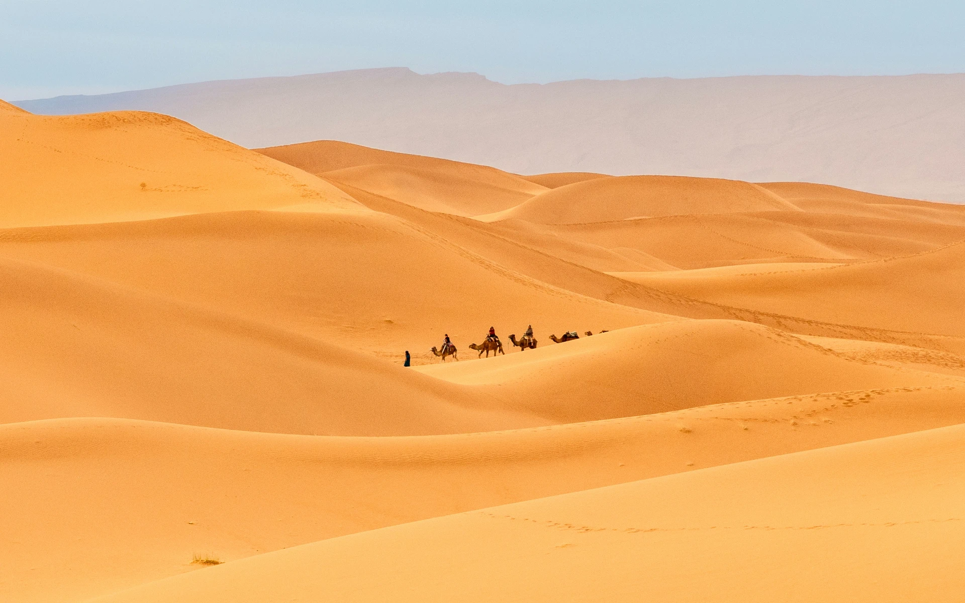 2-Day Tour to the Zagora Desert – Camel Ride & Starry Bivouac from Marrakech