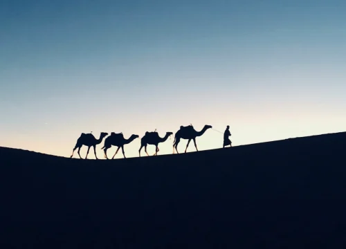 8-Day Southern Morocco Circuit: Marrakech, Dades, Merzouga & Zagora