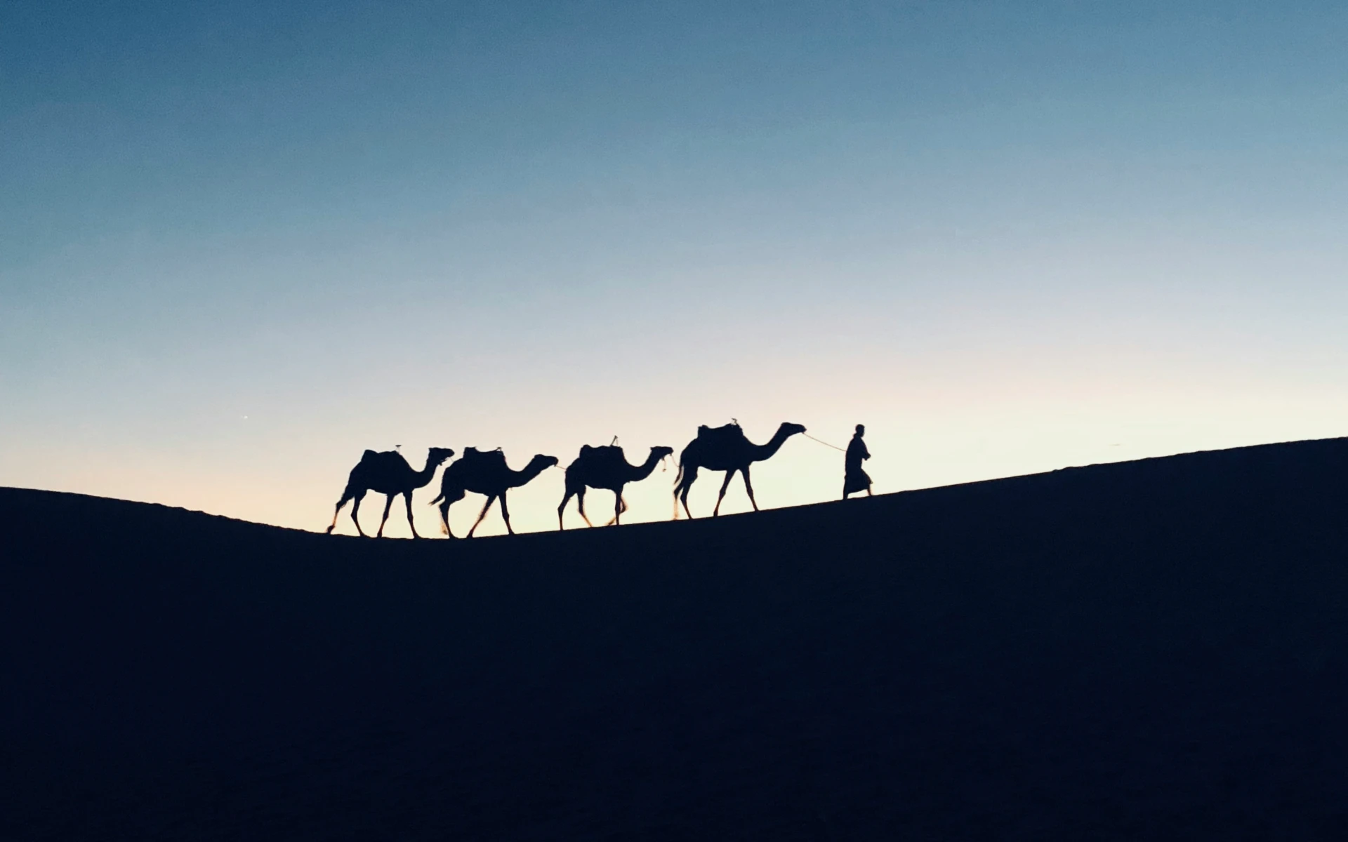 8-Day Southern Morocco Circuit: Marrakech, Dades, Merzouga & Zagora