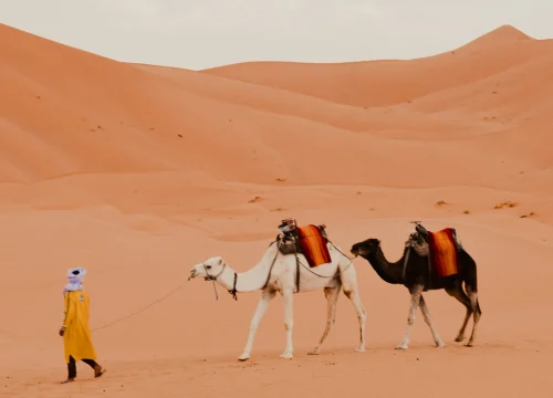 Marrakech to Erg Chebbi 5 Day Desert Tours – Deep Sahara Exploration & Luxury Camp