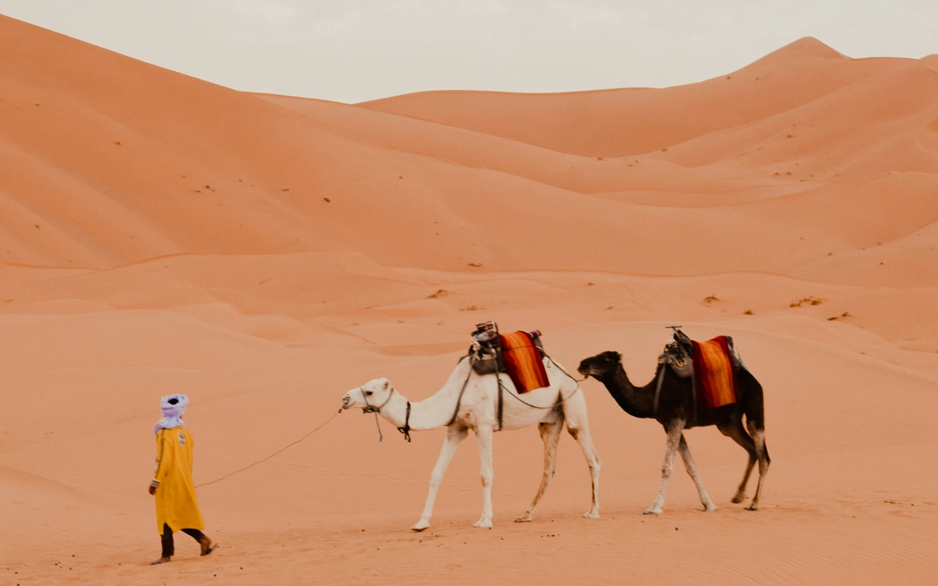 Marrakech to Erg Chebbi 5 Day Desert Tours – Deep Sahara Exploration & Luxury Camp