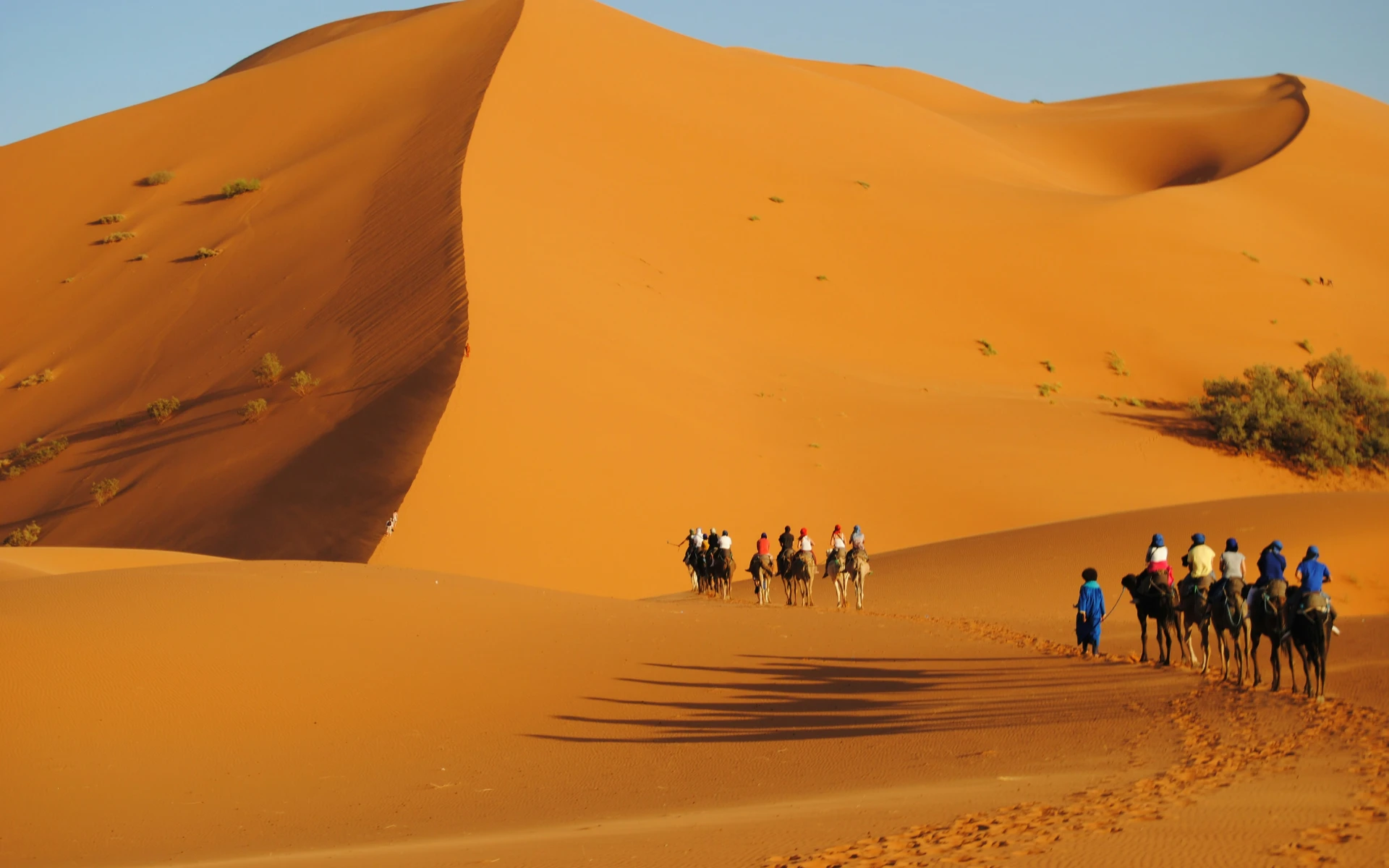 2-Day Tour M’hamid El Ghizlane – Camel Trek & Chegaga Dunes Escape