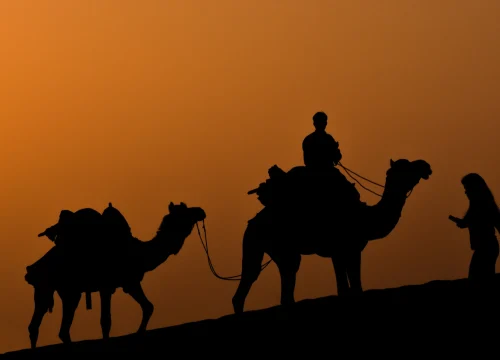 Shared Agafay Desert Camel Riding Adventure – 1-Hour Exploration: Sunset Ride & Cultural Experience