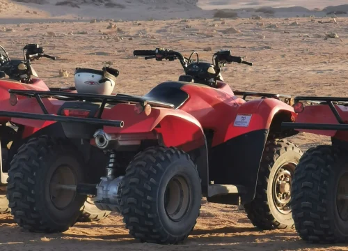 Shared Quad Ride in the Palmeraie of Marrakech – 1-Hour Off-Road Adventure with Mint Tea