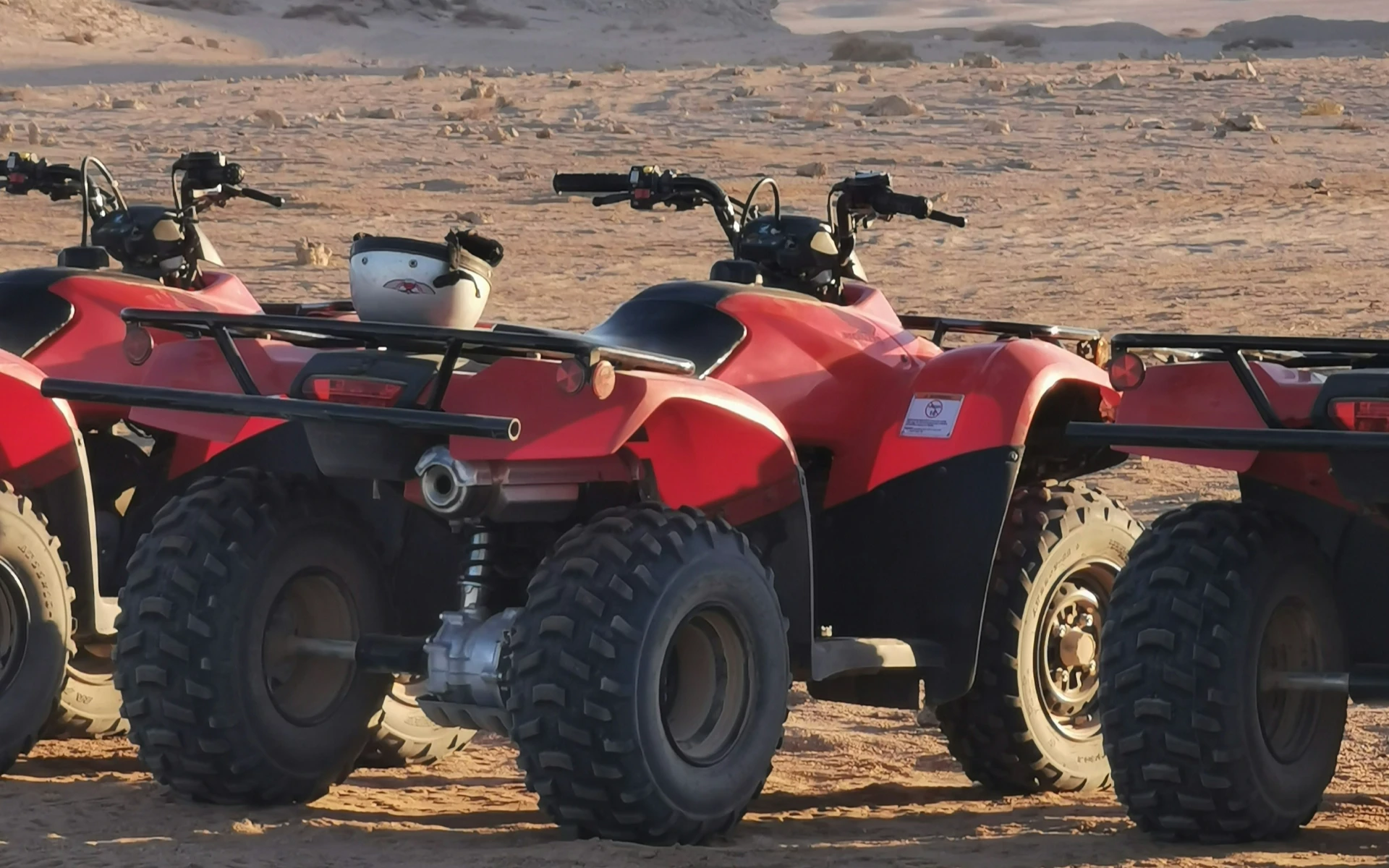 Shared Quad Ride in the Palmeraie of Marrakech – 1-Hour Off-Road Adventure with Mint Tea