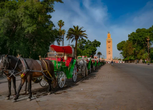 PACKAGE 5N ADVENTURES: Marrakech & Agafay Desert Camp